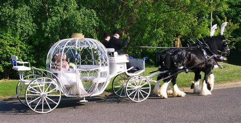 horse and cart hire