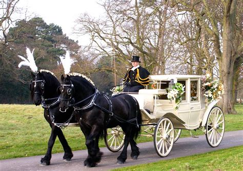 horse and cart hire near me
