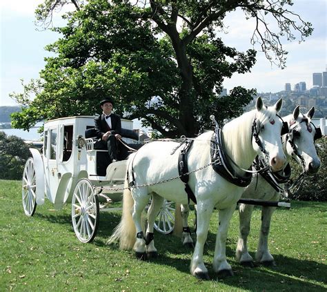 horse and cart hire sydney