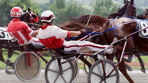 horse and cart racing