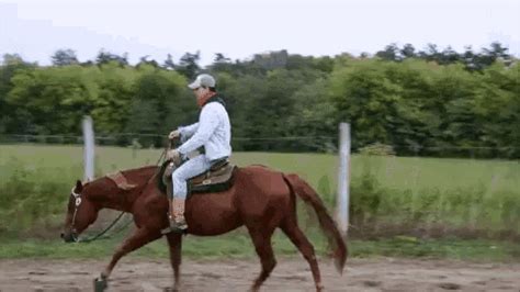 horse and rider gif