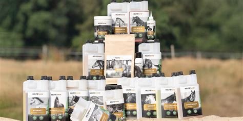 Horse Articles To Read