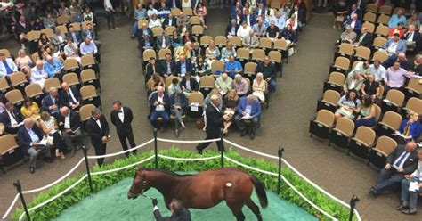 horse auctions near me 2024