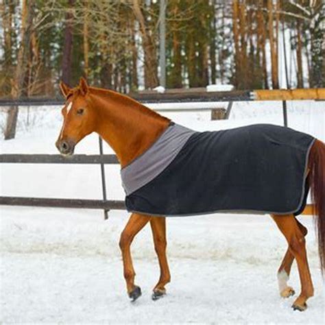 Horse Blanket Use
