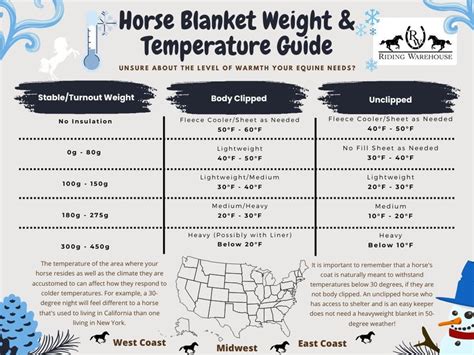 Horse Blanket Weights