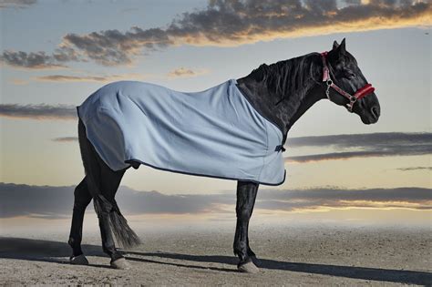 Horse Blankets Drop