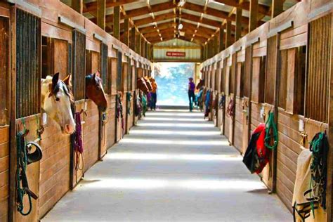 horse boarding barns in pa
