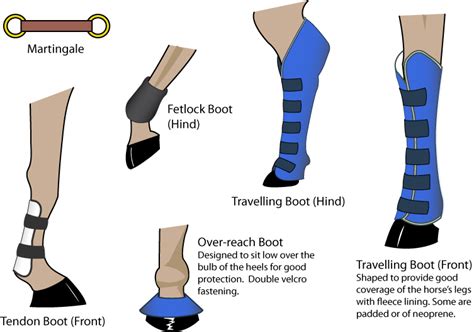 Horse Boots Types