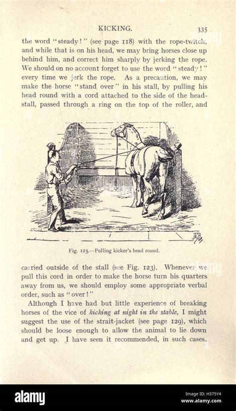 Horse Breaking Methods