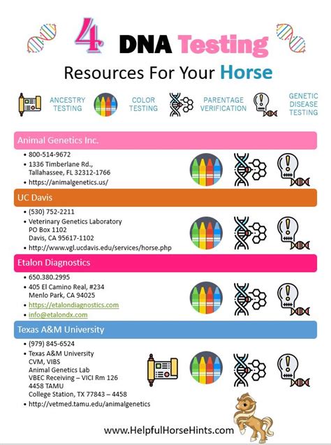 Horse Breed Dna Testing Canada