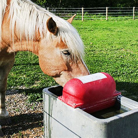 Horse Buckets Automatic Waterer