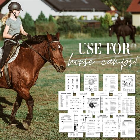 Horse Camp Worksheets