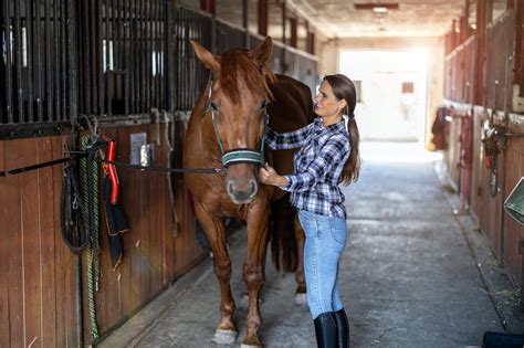 horse care
