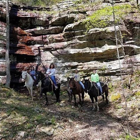 Horse Cave Activities
