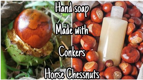 Horse Chestnut Leaf Soap