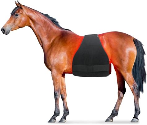 Horse Device Meaning