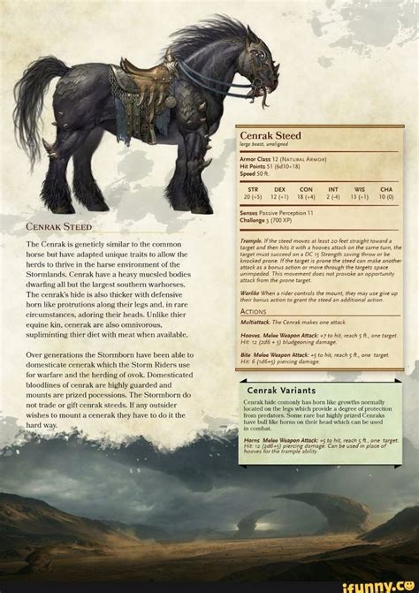 horse dnd 5e stats