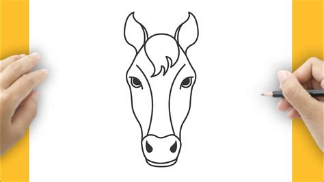 Horse Drawing Front View