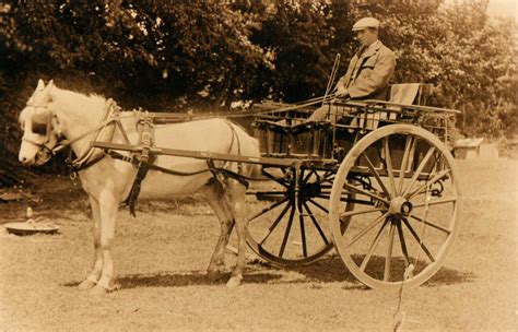 horse drawn carriage uk