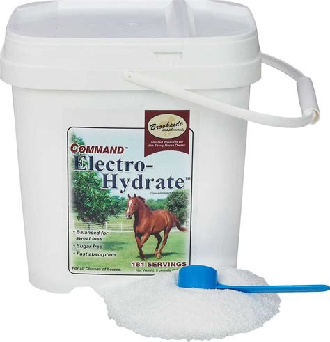 horse electrolytes for water
