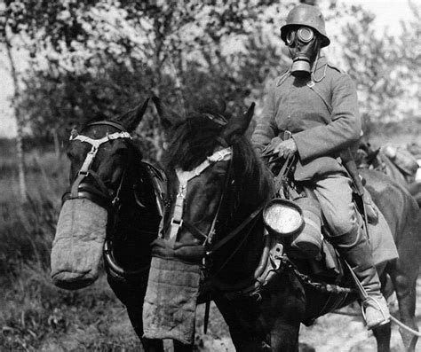 Battlefield Horse Gas Masks World War I Wallpaper Resolution