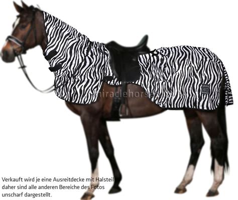 Horse Guard Zebra