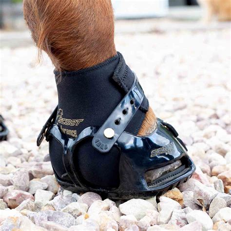 horse hacking boots