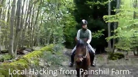 horse hacking in surrey