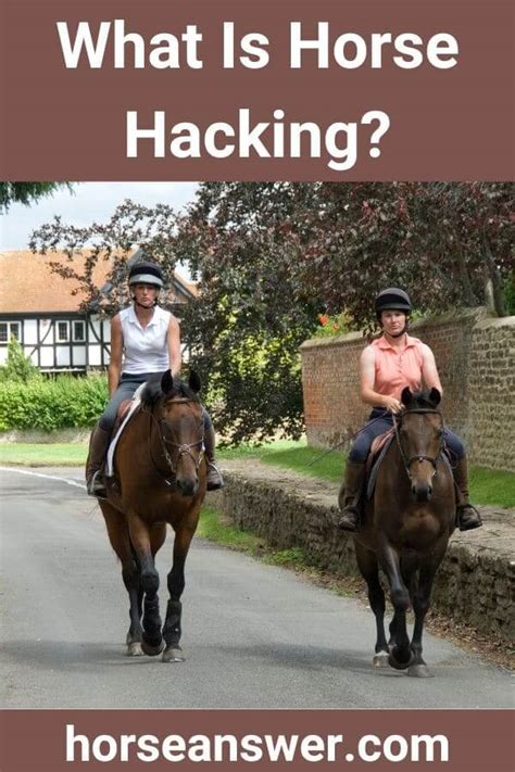horse hacking meaning