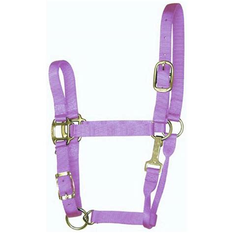 Horse Halter Lavender
