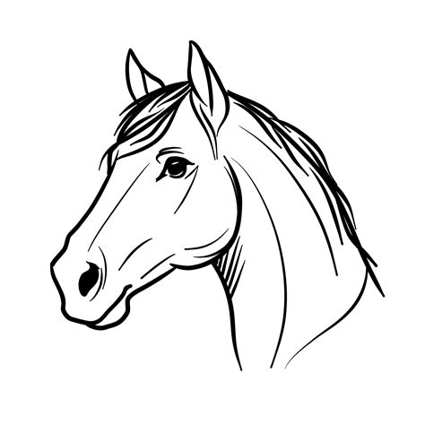 Horse Head Drawing