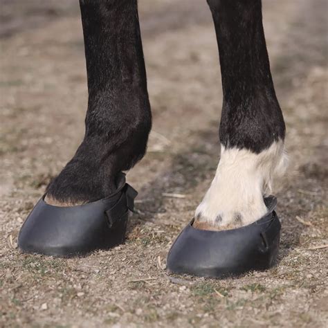Horse Hoof Boot Rubber