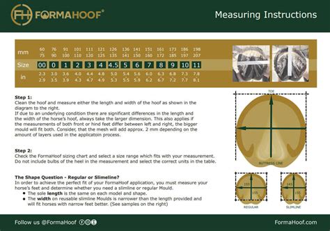 Horse Hoof Size Chart