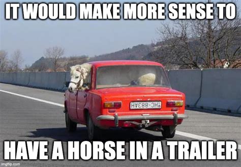 Horse Inside Car
