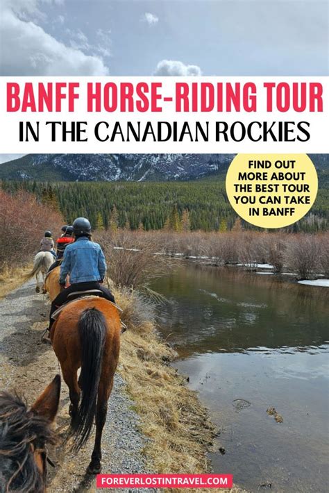 horse introduction Banff