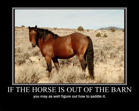 horse is out of the barn idiom