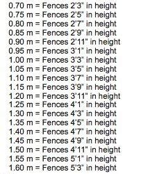 Horse Jump Heights In Meters