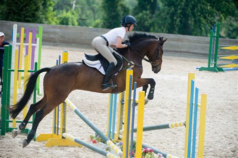 Horse Keeps Swapping Leads