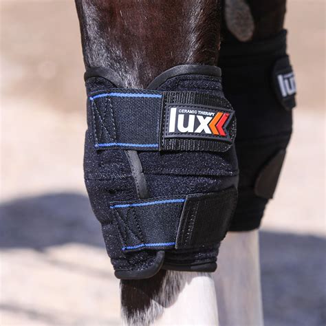 Horse Knee Support