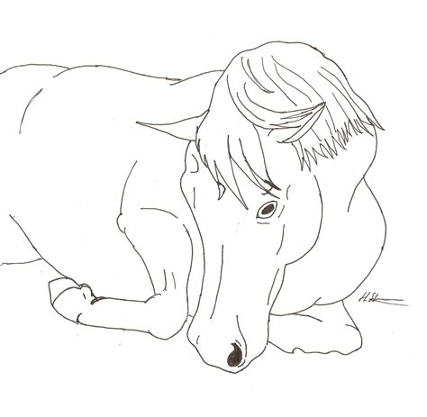 horse laying down lineart
