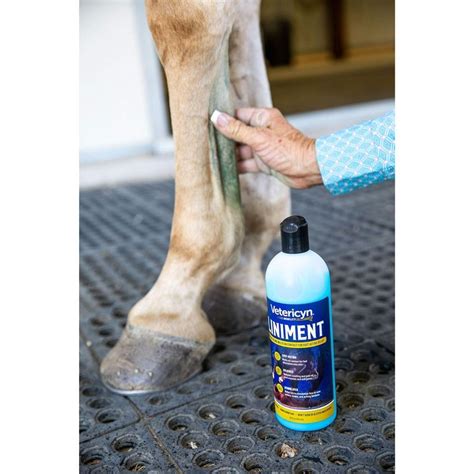 Horse Liniment Reddit