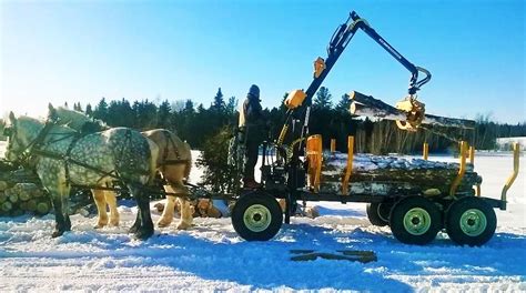 Horse Logging Cart