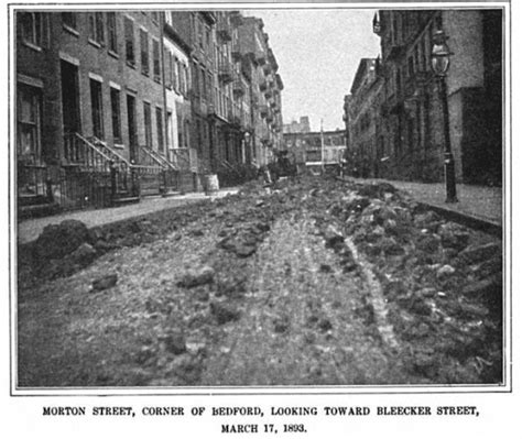 Horse Manure Problem In Cities