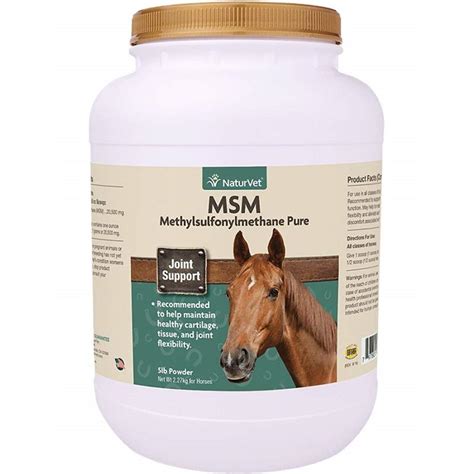 horse msm safe for humans