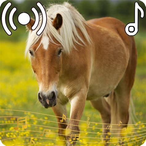 Horse Nicker Ringtone