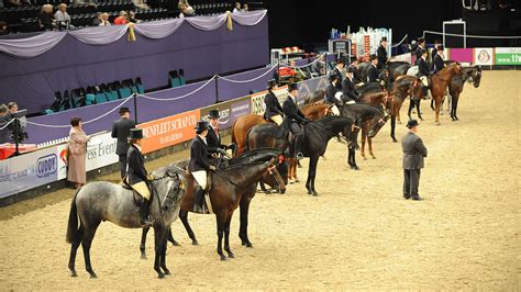 horse of the year show 2021 london
