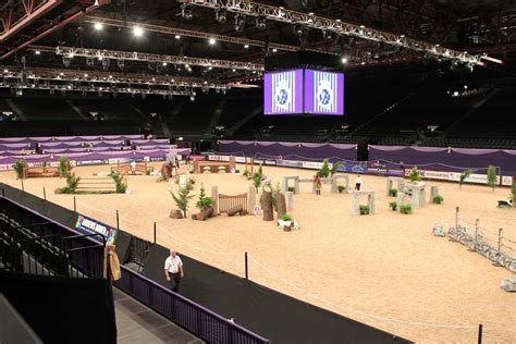 horse of the year show london