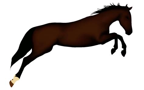 horse photo gif animation