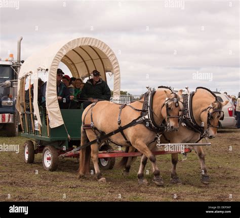 Horse Pulled Vehicle