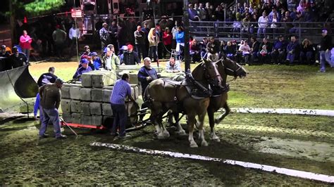 Horse Pulling In Nh